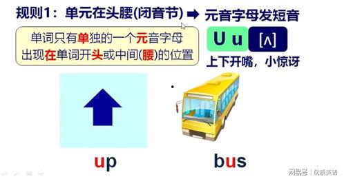 元音视频,探索声音的魅力与科技融合