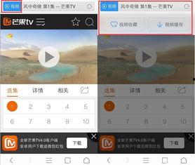 uc缓存视频怎么存本地,简单步骤解析