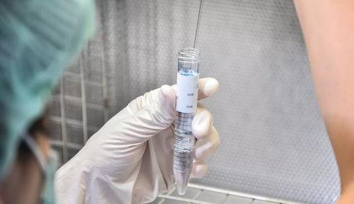 女人人工授精过程视频