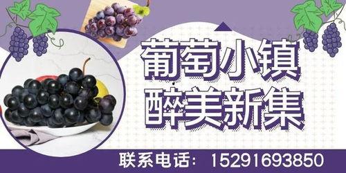 黄土情视频,探寻千年黄土地的沧桑变迁